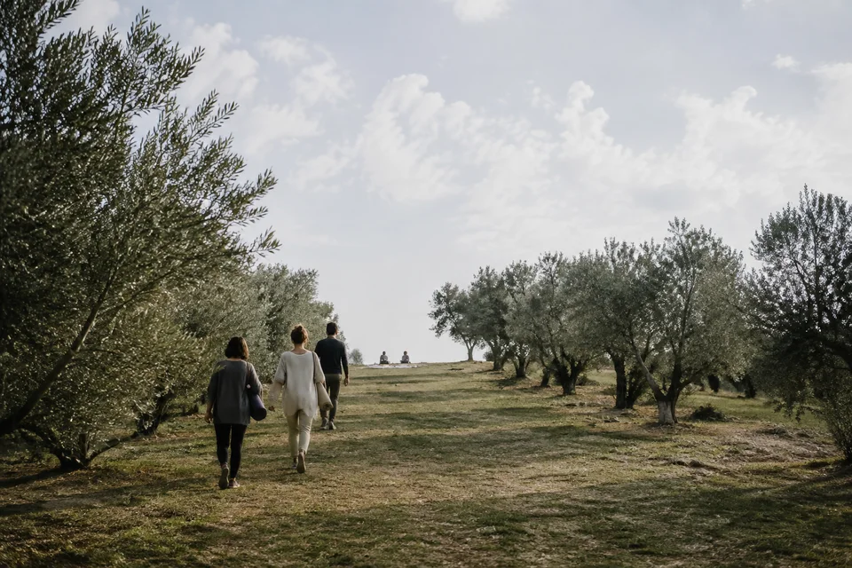 People walking through an olive grove towards a quiet yoga setting.